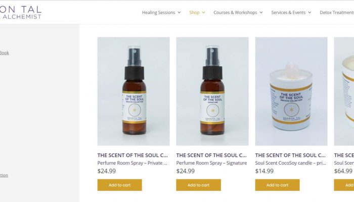 The Soul Alchemist website